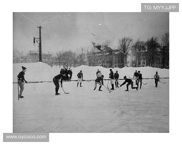 冰球运动的历史演变技术特点与发展趋势全面解析